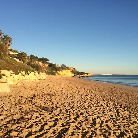 Bicos 101 By Check-in Portugal Albufeira