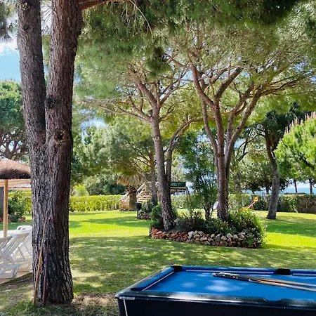 Bicos 101 By Check-in Portugal