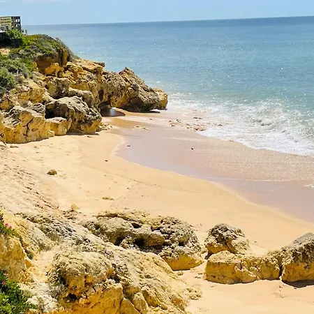 Apartament Bicos 101 By Check-in Portugal