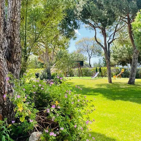 Bicos 101 - Shared Pool - 4 Guests - * Albufeira