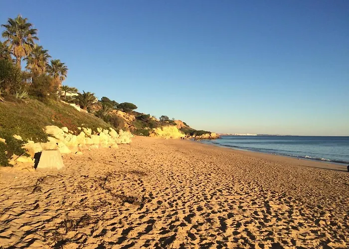 Bicos 101 By Check-in Portugal 알부페이라