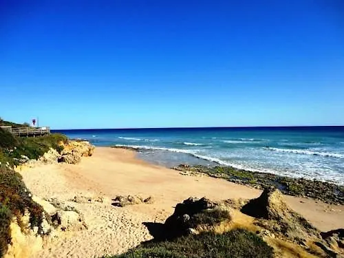 Bicos 101 By Check-in Portugal 알부페이라