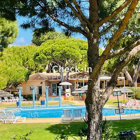 Bicos 101 - Shared Pool - 4 Guests - Albufeira Appartement